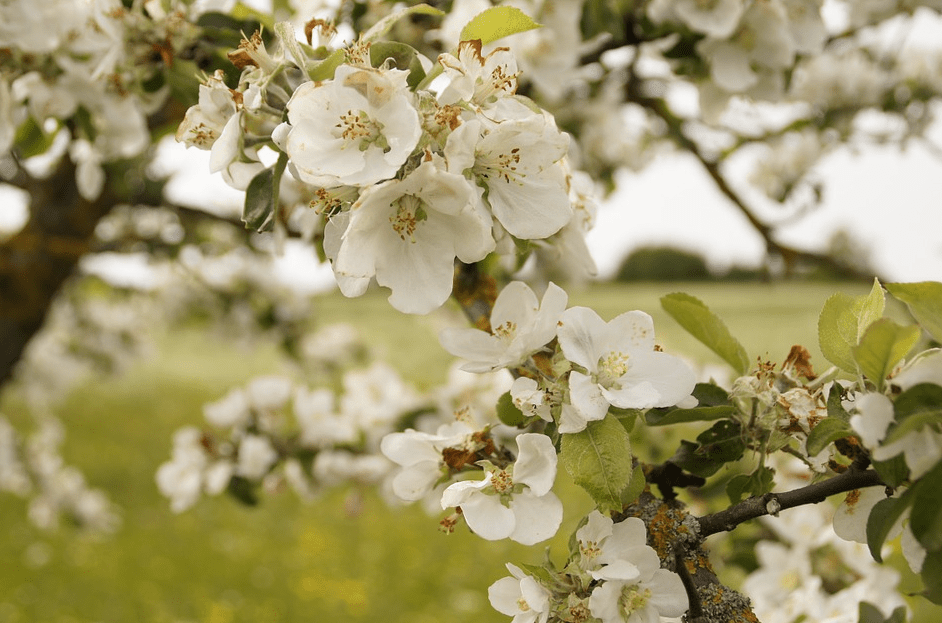 Schermafbeelding 2016-03-20 om 20.13.37