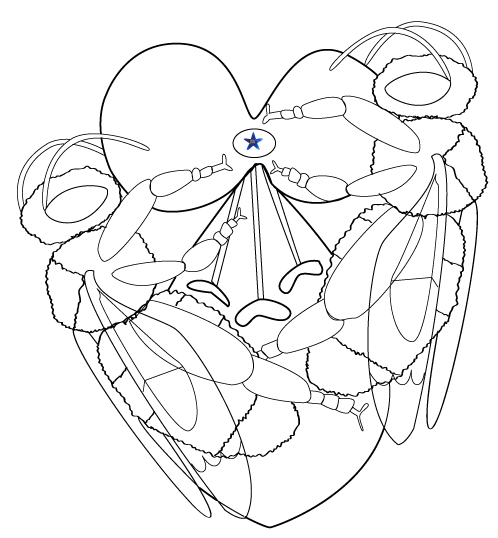 MR*16HIY07-colorful-nature