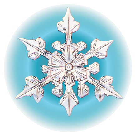 snowflake-1