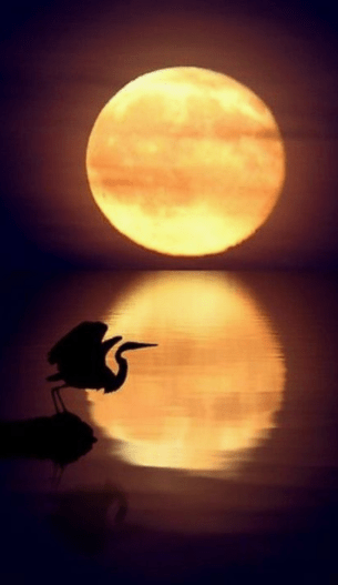 Schermafbeelding 2017-10-05 om 21.07.32