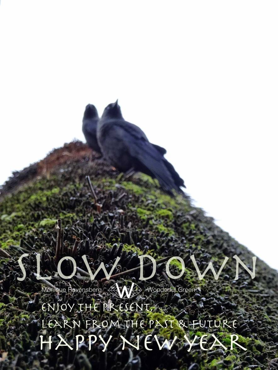 slow down for #wonderfulgreen winter 2018