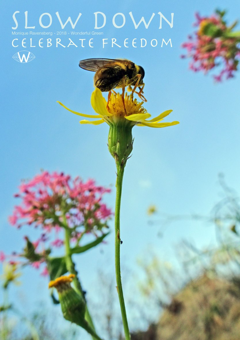 slow down campagne for #wonderfulgreen 2018