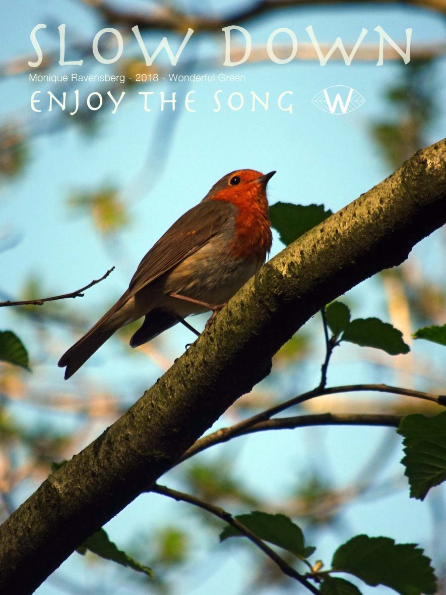 Slow Down campagne for wonderful green