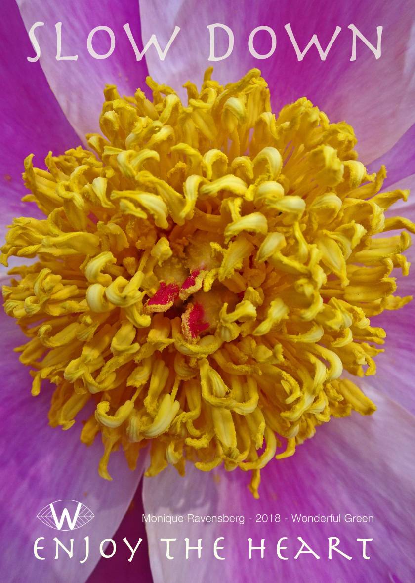 Slow Down campaign for #wonderfulgreen