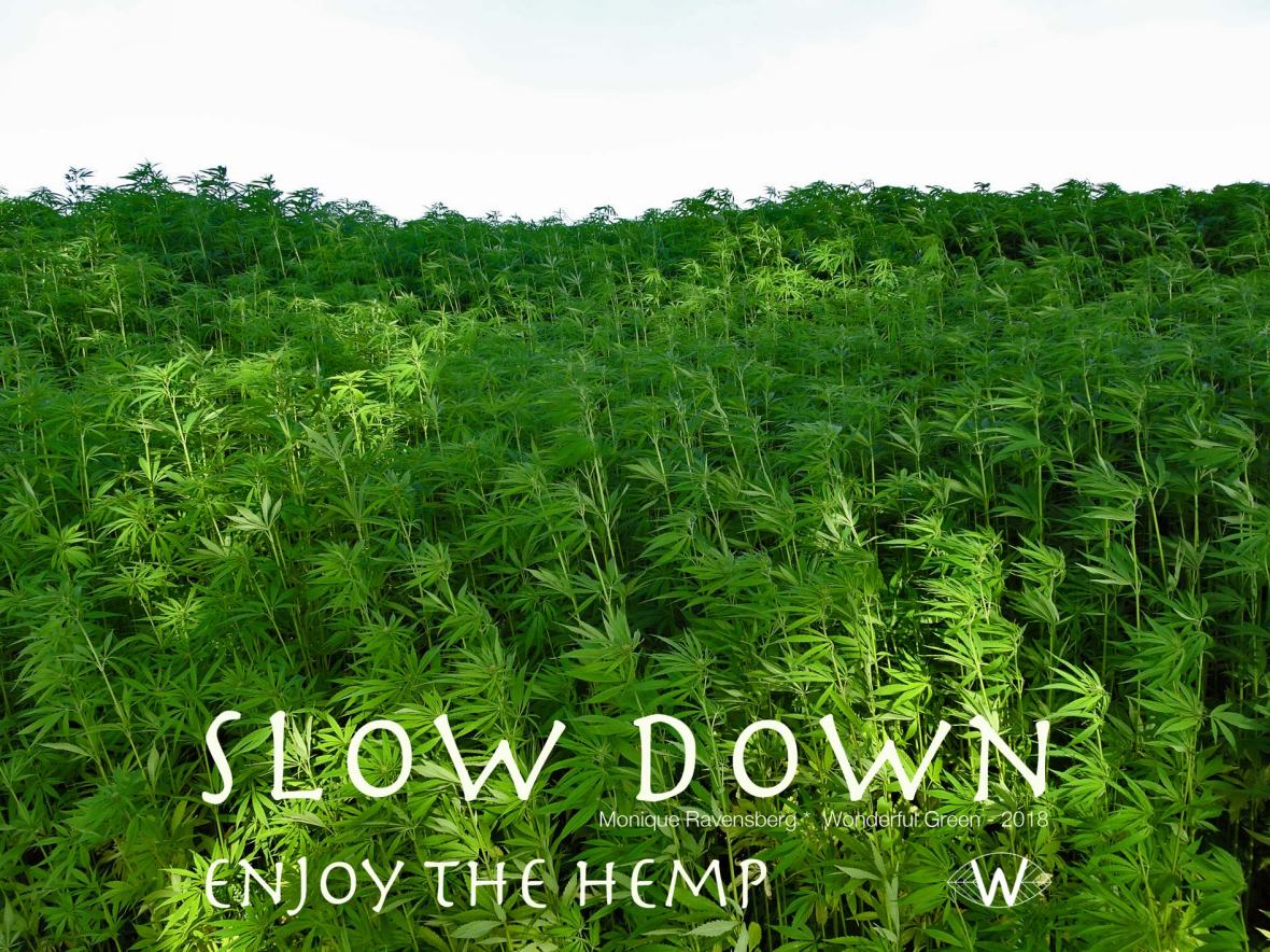 slow down campagne for #wonderfulgreen