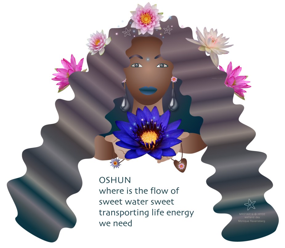 illustration by Monique Ravensberg for MRSTAR to give attention to wetlands
