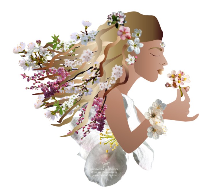 mrstar-©2019-spring-illustration by Monique Ravensberg