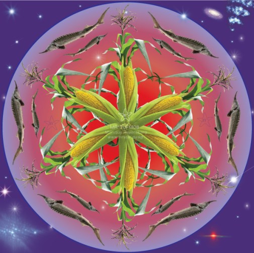 Full Moon sturgeon maize poem